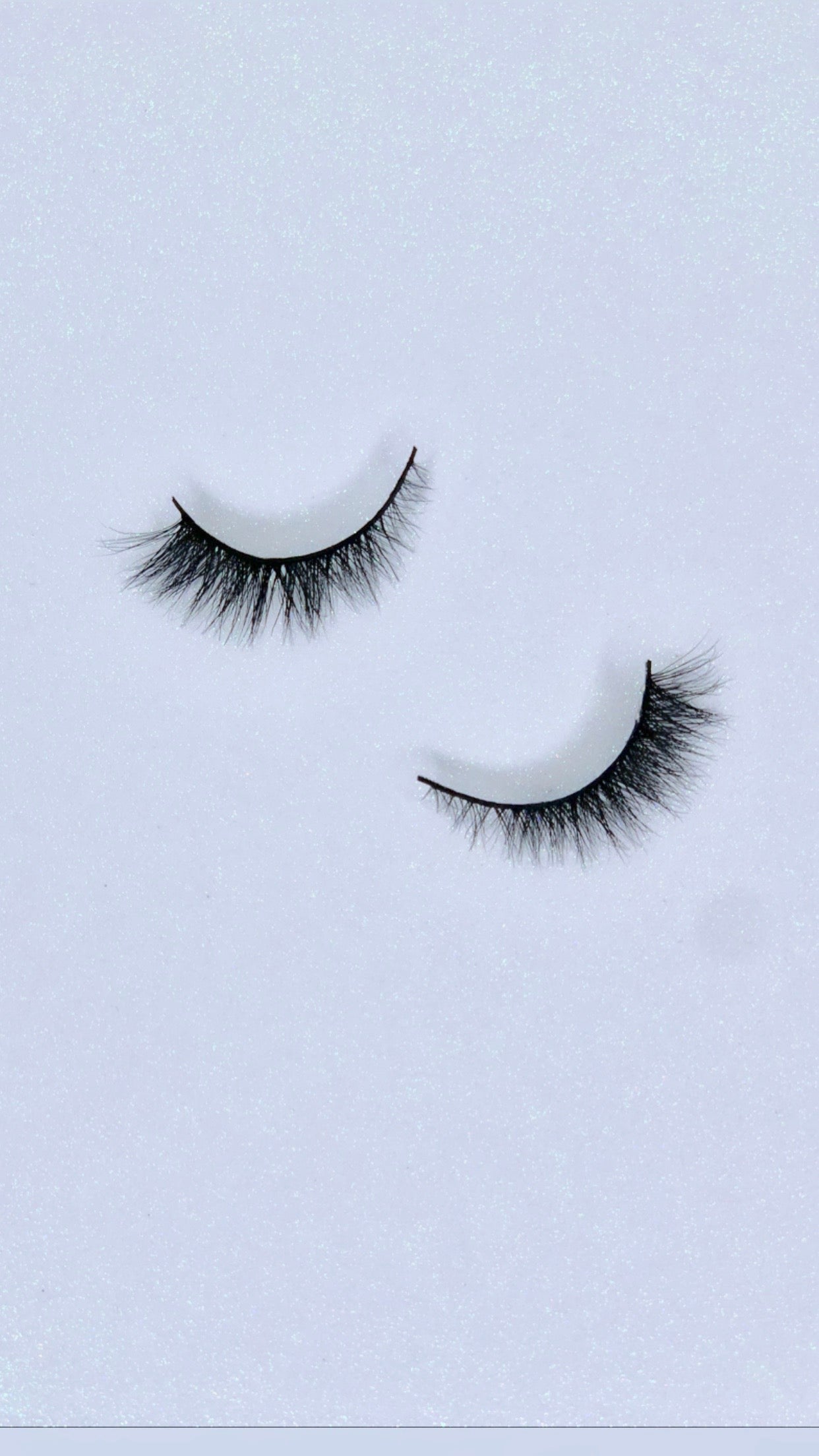 SARAH LASHES